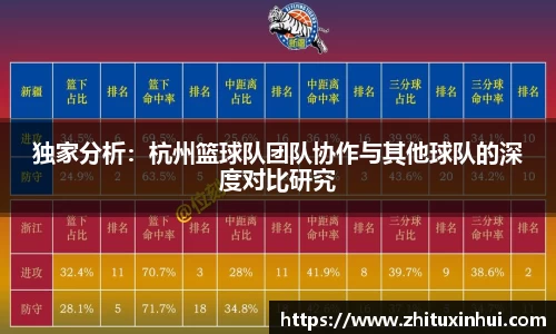 独家分析：杭州篮球队团队协作与其他球队的深度对比研究