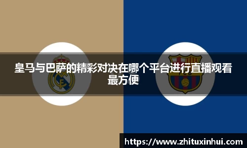 MK体育集团